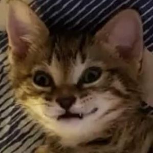 Meet your Posher, Cathy